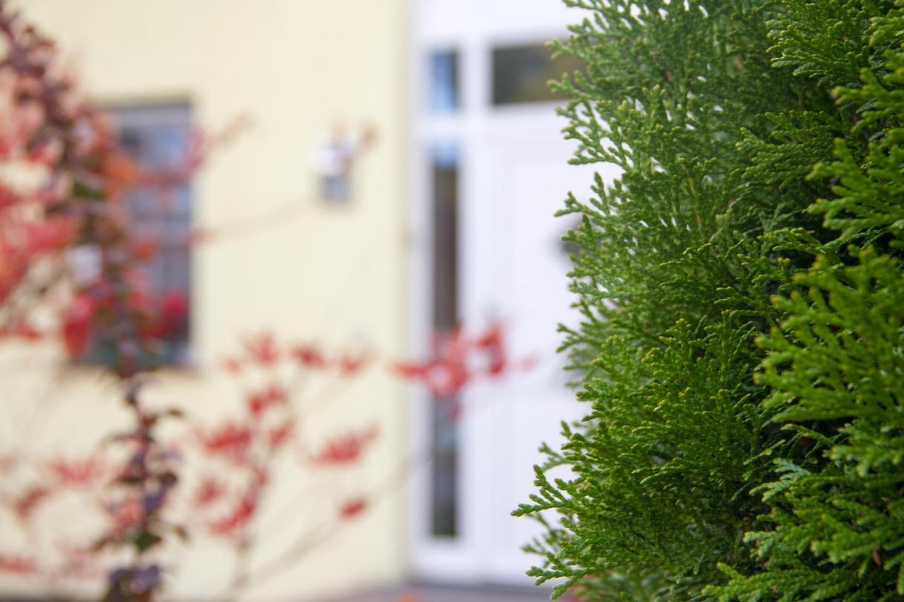Ferienhaus Bogsi Mullrose Экстерьер фото